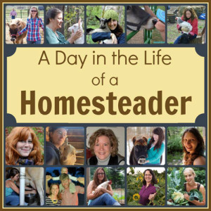 Ever wonder what homesteaders do all day? Take a tour of 15 Homestead Bloggers daily life | Homestead Honey