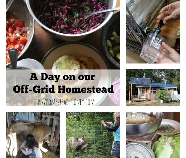 A Day in the life of our Off-Grid homesteading family. Check out all of the posts in this series to see how homesteaders across the US and Canada spend their 