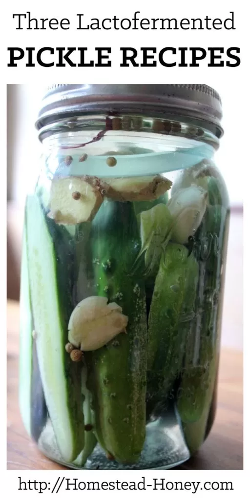 These three lactofermented pickle recipes are zesty, zippy, and full of probiotic goodness. No canning required for delicious deli-style pickles at home. | Homestead Honey