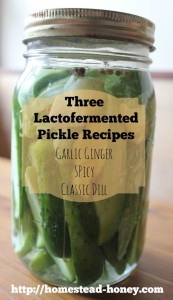 Three delicious and easy lactofermented pickle recipes | Homestead Honey