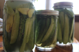 Three different lactofermented pickle recipes | Homestead Honey
