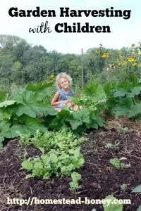 Tips to make garden harvesting with kids fun and productive | Homestead Honey