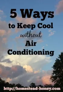 5 ways to keep cool this summer, without air conditioning! | Homestead Honey