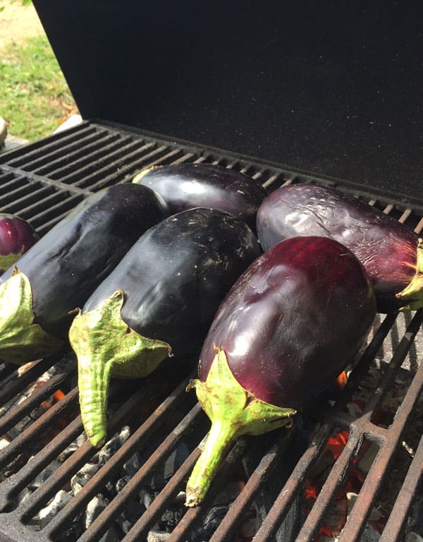 Preserve the amazing taste of eggplant for winter with this simple technique | Homestead Honey
