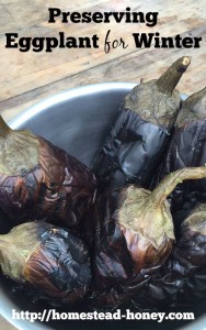 Capture the amazing summery taste of eggplant with this simple food preservation method | Homestead Honey