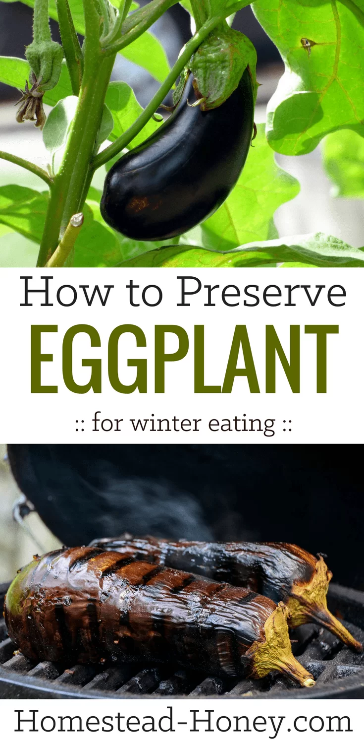 How to Preserve Eggplant for winter eating. Capture the amazing summery taste of eggplant with this simple food preservation method | Homestead Honey