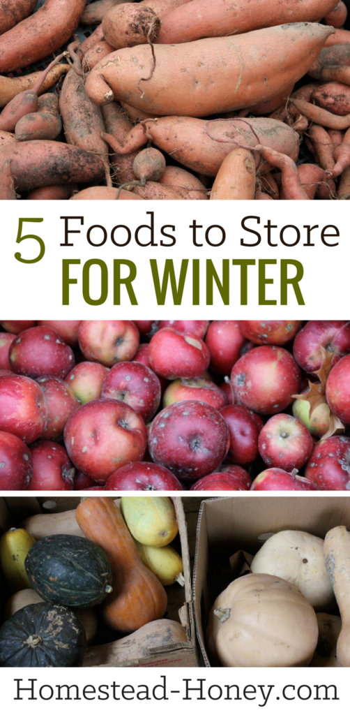 Five Foods to Store for Winter Homestead Honey