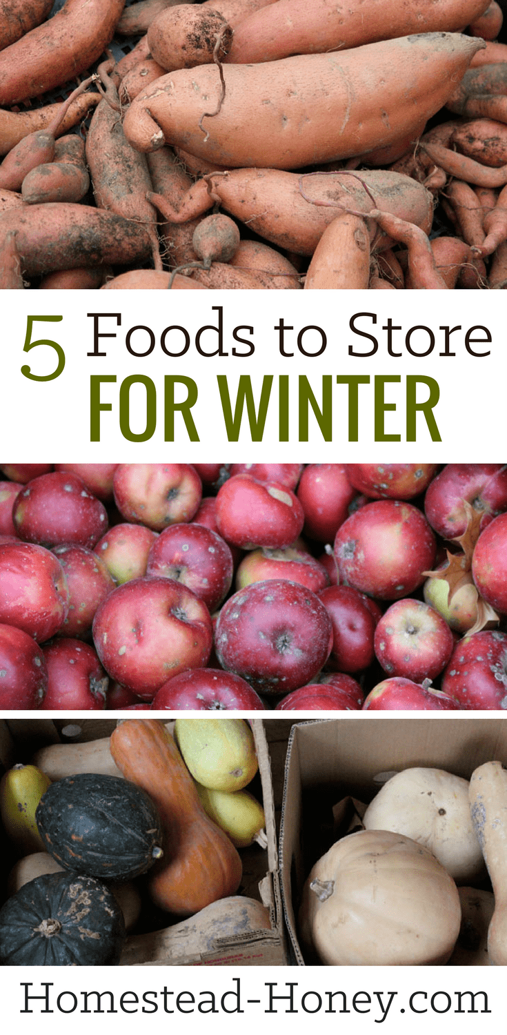 Stocking up on crops in the fall is a great way to have high quality food on hand for winter. Here are my five top foods to store for winter eating. | Homestead Honey