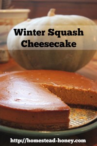 Made with locally grown, seasonal ingredients, this winter squash cheesecake recipe is the perfect Autumn dessert | Homestead Honey