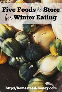 Want to save money on groceries this winter, while supporting local farms? These five foods have incredible storage properties, making them amazing choices to stock up on for winter eating. | Homestead Honey
