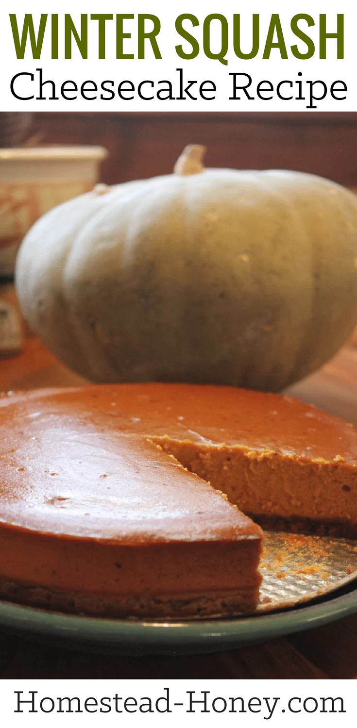 This winter squash cheesecake recipe, made with locally grown ingredients, is the perfect Autumn dessert, blending sweetness with pumpkin pie spices. | Homestead Honey