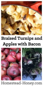 Turnips and apples combine with crisp bacon and tangy apple cider vinegar for a delicious side dish perfect for your Thanksgiving dinner. | Homestead Honey
