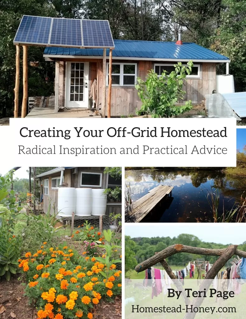Creating Your Off-Grid Homestead: Radical Inspiration and Practical Advice, by Teri Page of Homestead-Honey.com