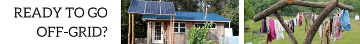Creating Your Off-Grid Homestead, by Teri Page of Homestead-Honey.com
