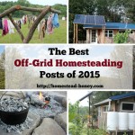 Top Off-Grid Homesteading Posts of 2015