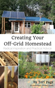 Creating Your Off-Grid Homestead by Teri Page