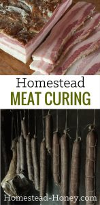 Homestead meat curing uses traditional methods to add flavor and preserve meat. if you raise meat, it's a great skill to add to your homesteading skillset!