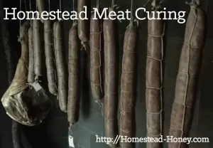 Homestead meat curing uses traditional methods to add flavor and preserve meat. if you raise meat, it's a great skill to add to your homesteading skillset! | Homestead Honey