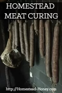Homestead meat curing uses traditional methods to add flavor and preserve meat. if you raise meat, it's a great skill to add to your homesteading skillset! | Homestead Honey