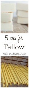 Tallow, or rendered beef fat, is a true homesteader's fat, and can be used in a variety of ways. Here are five DIY ways to use tallow in your home. | Homestead Honey