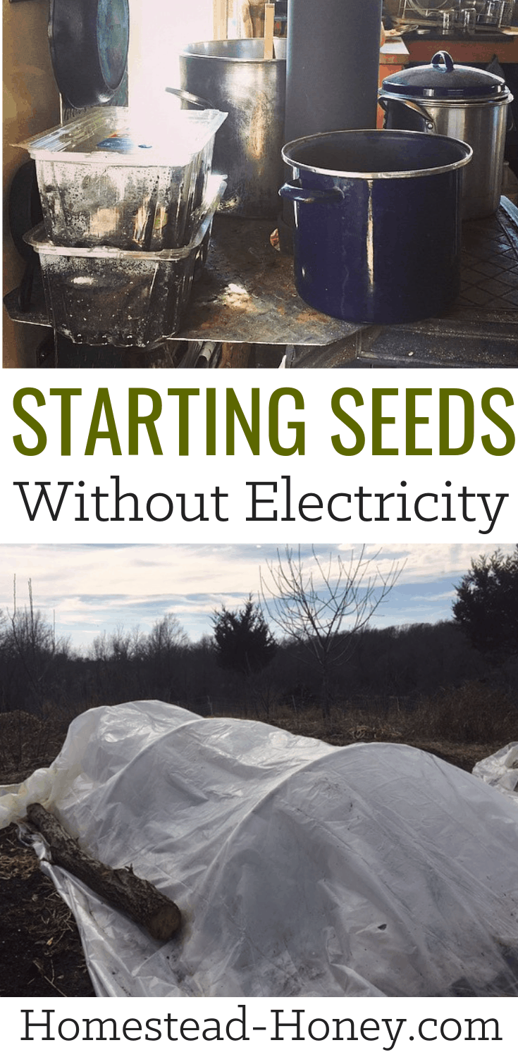 starting seeds without electricity