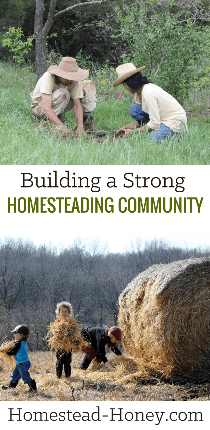 Building a strong homesteading community comes from trust, communication, and re-addressing the simple question, “How can we become MORE interdependent?” | Homestead Honey