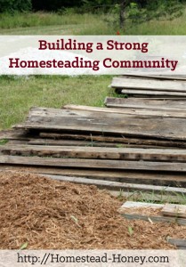 Building a strong homesteading community requires trust, communication, and a willingness to strive for interdependence. | Homestead Honey