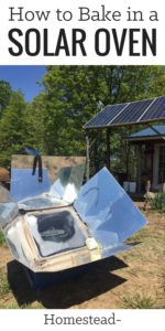 On our off-grid homestead, we bake in a solar oven year-round. Here are my top tips for baking and cooking in a solar oven. | Homestead Honey