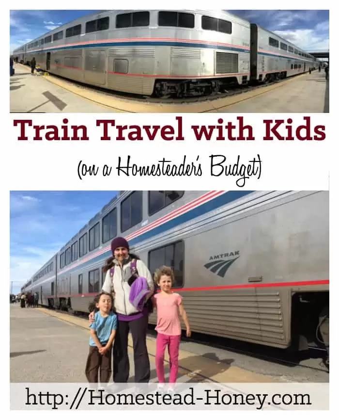 Traveling by train with kids is a fun and affordable way to see the country | Homestead Honey