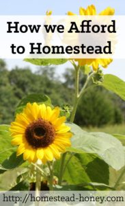 How we afford to homestead (on less than one income) is a combination of three factors: Avoiding debt, reducing expenses, and creating a diverse income stream | Homestead Honey