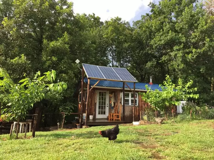 an off-the-grid tiny house surrounded by trees with chicken and a vegetable garden out front