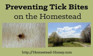 Do you have a tick problem on your homestead? We used to, until we implemented these three simple strategies for preventing tick bites. | Homestead Honey