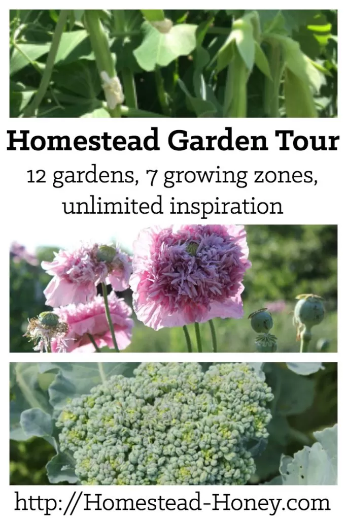 Join us on a virtual garden tour of 12 gardens in the U.S. and Canada, ranging from USDA growing zones 3-9! Get plenty of homestead garden inspiration and see what others are growing. | Homestead Honey