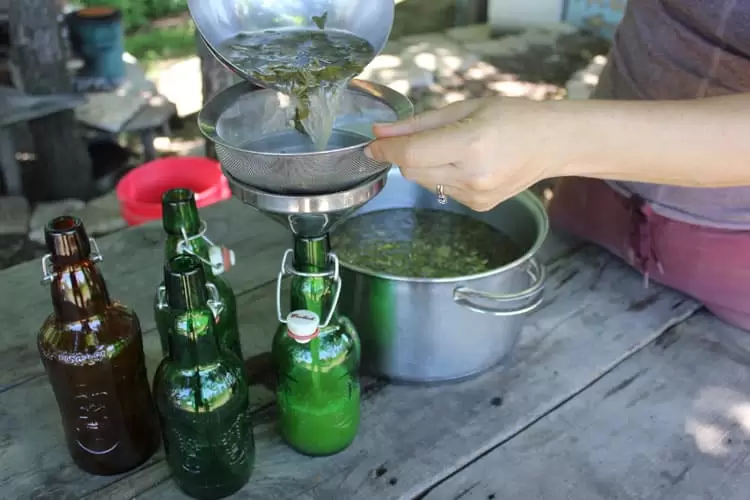 Pouring and straining homemade soda into bottles.