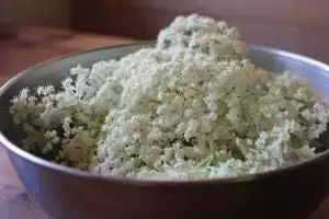 Elderflowers make delicious homemade recipes and remedies