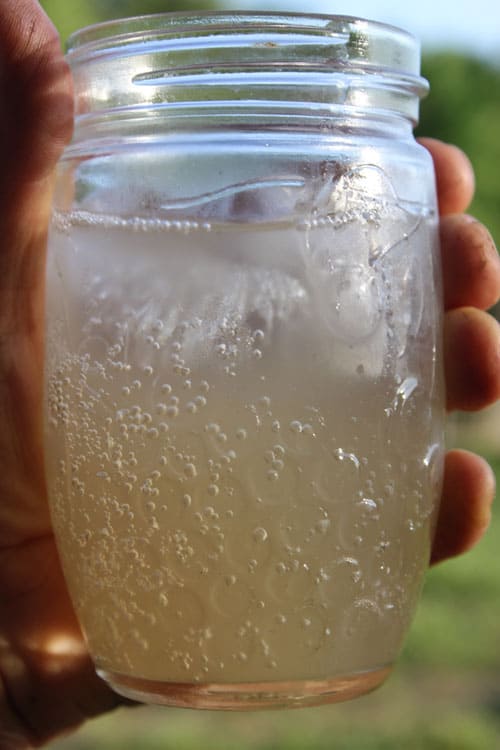 Homemade soda is a delicious alternative to store bought drinks. Light, sweet, fizzy, and refreshing, homemade soda is the perfect ending to a hot day. | Homestead Honey