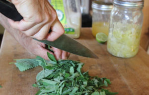 To make homemade soda, start with great ingredients! Here we are chopping up herbs to infuse the soda with flavor. | Homestead Honey