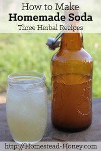 Light, sweet, fizzy, and refreshing, homemade soda is the perfect ending to a hot summer day. This post will teach you how to make homemade soda at home, with herbs and flowers you may already have in your garden! | Homestead Honey