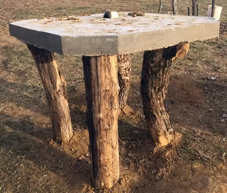 Our bread & pizza oven hearth slab on white oak posts. | Homestead Honey