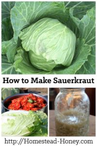 Learn how to make delicious and probiotic lacto-fermented sauerkraut with this recipe and video. | Homestead Honey