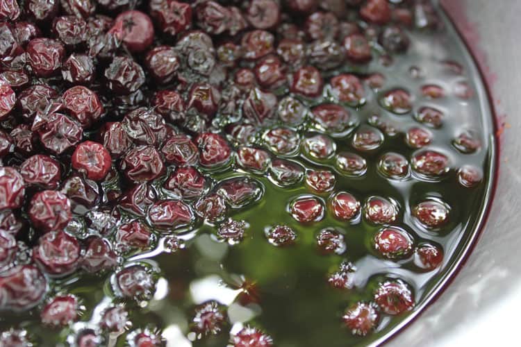 Cooking berries to make a shrub | Homestead Honey