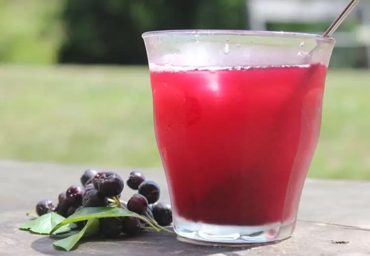 Shrubs, or drinking vinegar, are refreshing and tangy - the perfect summer beverage! | Homestead Honey