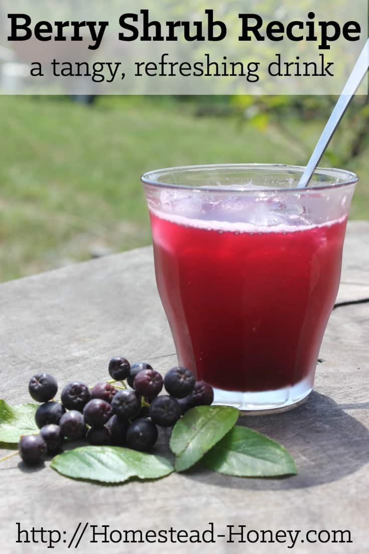 Shrubs, or drinking vinegar, are delicious, tangy, and refreshingly thirst-quenching drinks that you can make at home. Enjoy one over ice during your next heat wave! | Homestead Honey