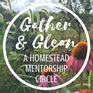 Gather & Glean: A Homestead Mentorship Circle for Women
