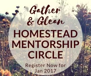 Gather & Glean Homestead Mentorship Circle for Women