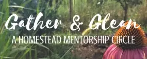 Gather & Glean: A Homestead Mentorship Circle for women