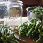 Four Ways to Preserve Green Beans