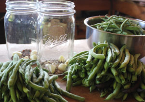 Green beans are a versatile crop to preserve for winter eating. Here are four ways to preserve green beans: Canning, Dehydrating, Fermenting, and Freezing. | Homestead Honey