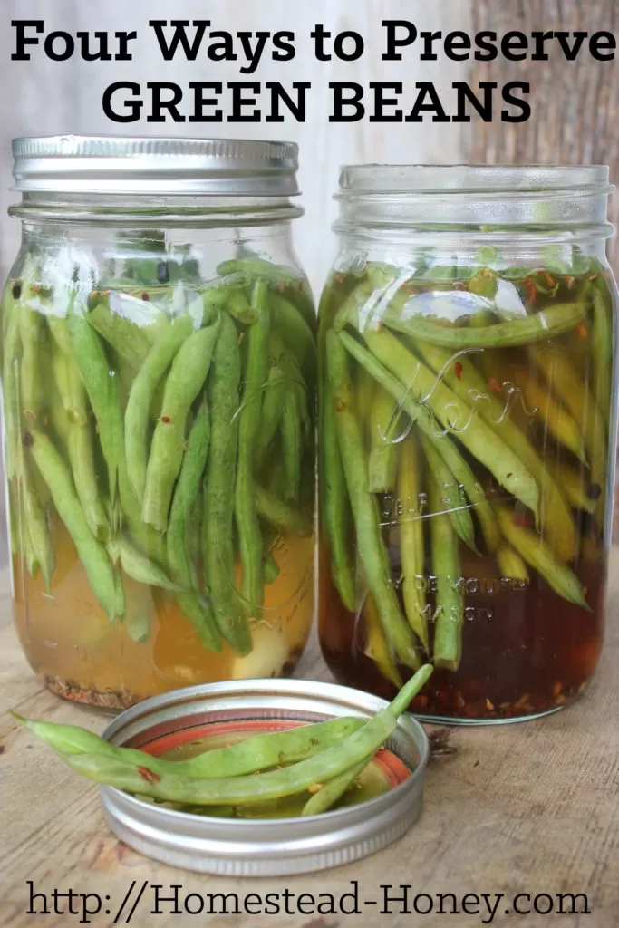 Green beans are a versatile crop to preserve for winter eating. Here are four ways to preserve green beans: Canning, Dehydrating, Fermenting, and Freezing. | Homestead Honey