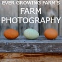Ever Growing Farm | Farm Photography